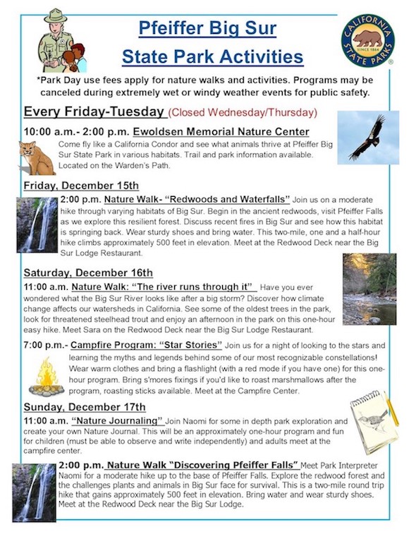 Pfeiffer State Park Campfire Program